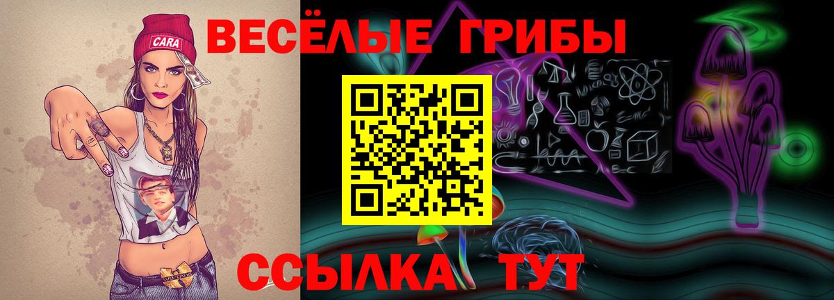 Анжеро-Судженск  как найти наркотики  Вход с VPN  Галлюциногенные грибы Psilocybine cubensis 
