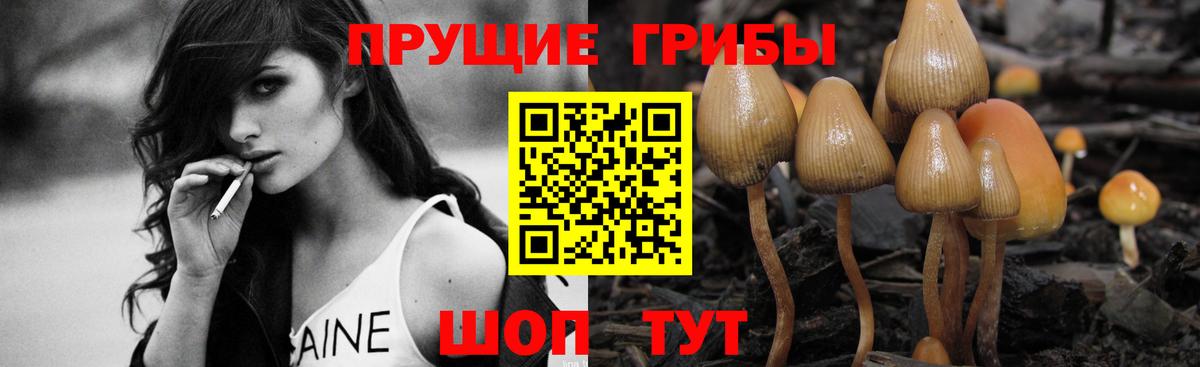 Галлюциногенные грибы MAGIC MUSHROOMS Анжеро-Судженск